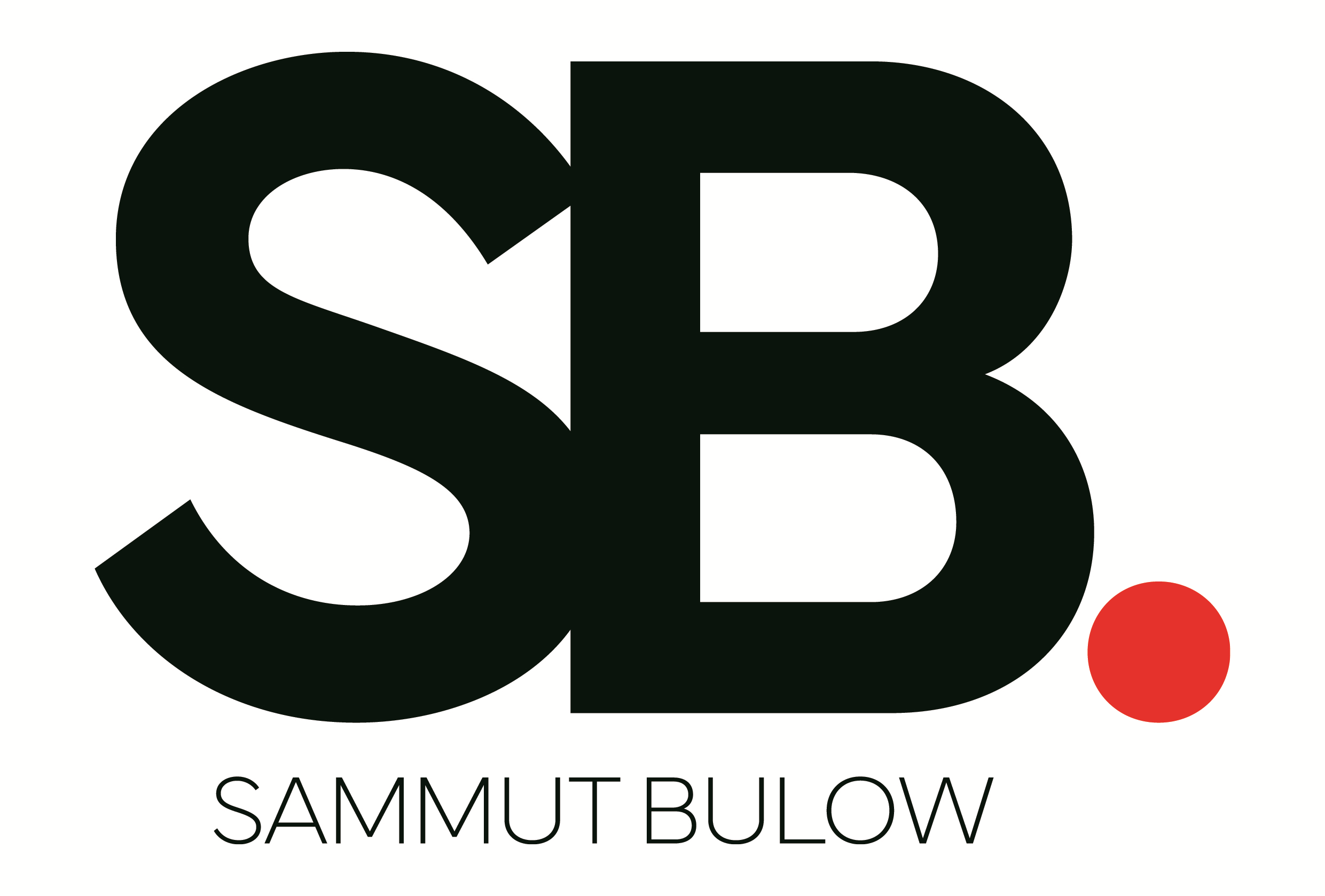 SBB Partners