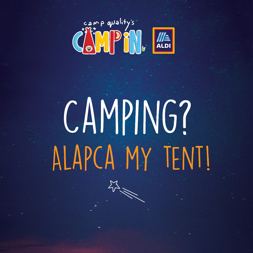 Facebook Instagram Post - Camping Pun 5